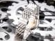 Fake Patek Philippe Calatrava White Dial Two Tone Rose Gold Watches (9)_th.jpg